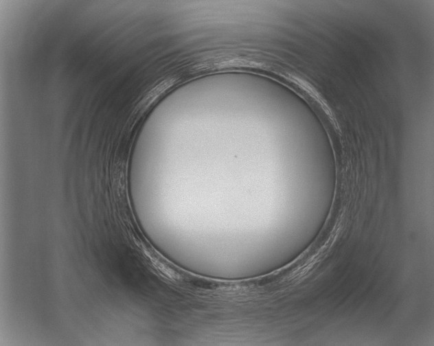 X0000060260793200510281007