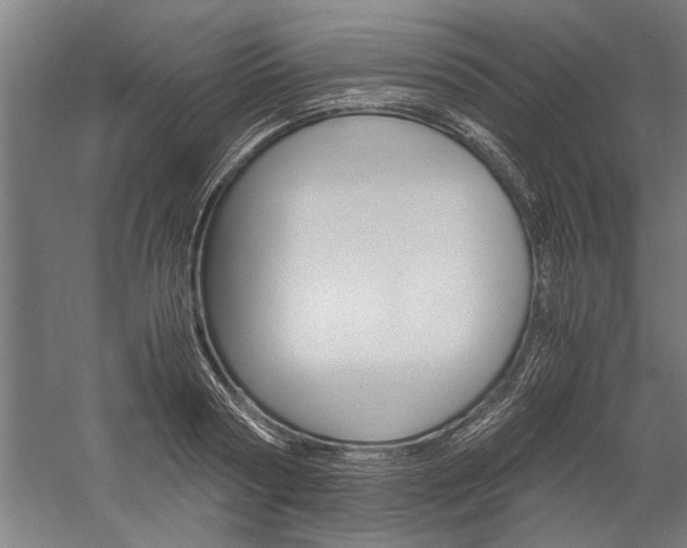 X0000060260794200510281007