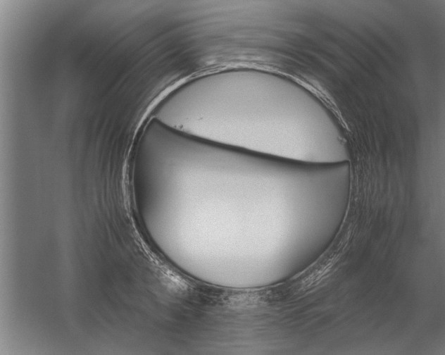 X0000060260798200510281007
