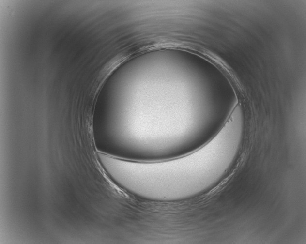 X0000060260809200510281007