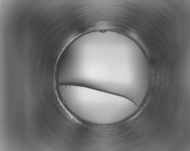 X0000060260810200510281007