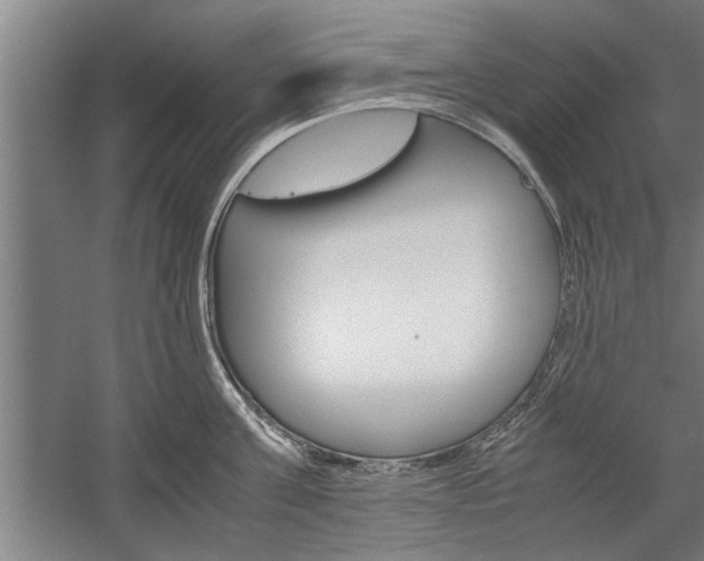 X0000060260811200510281007