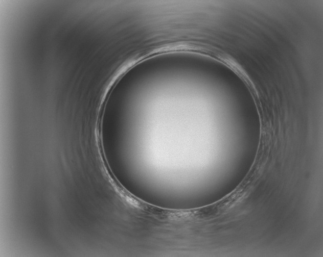 X0000060260813200510281007