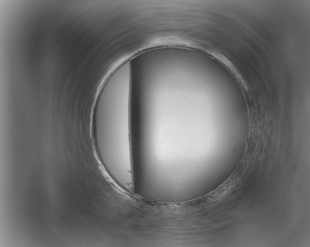 X0000060260815200510281007
