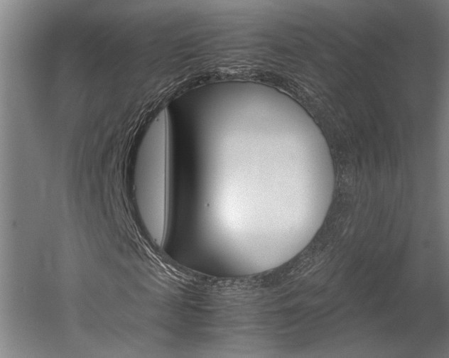 X0000060260817200510281006