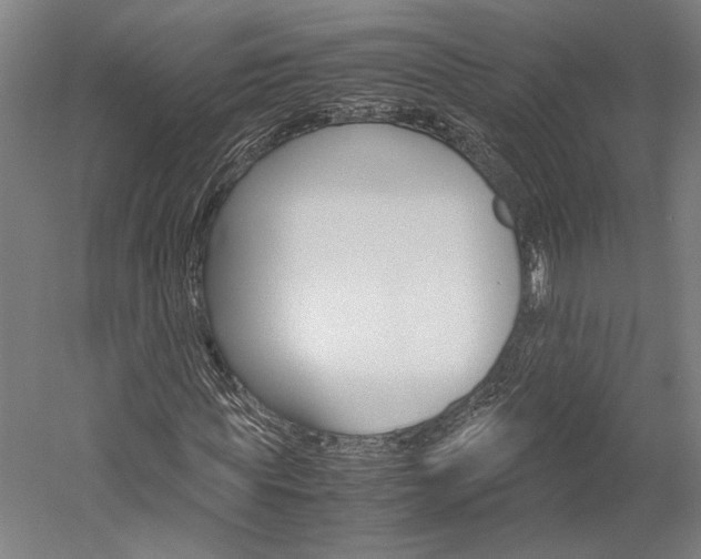 X0000060260819200510281006