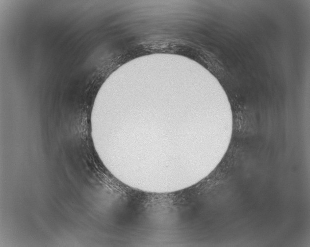 X0000060260820200510281006