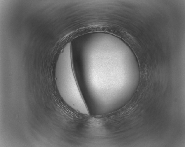 X0000060260821200510281006