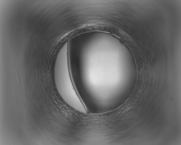 X0000060260822200510281006
