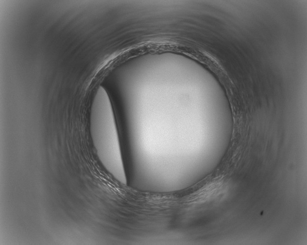 X0000060260823200510281006