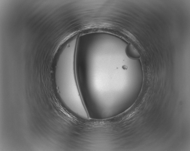 X0000060260826200510281006