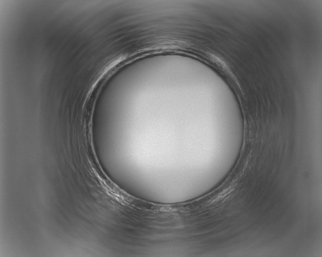 X0000060260827200510281006