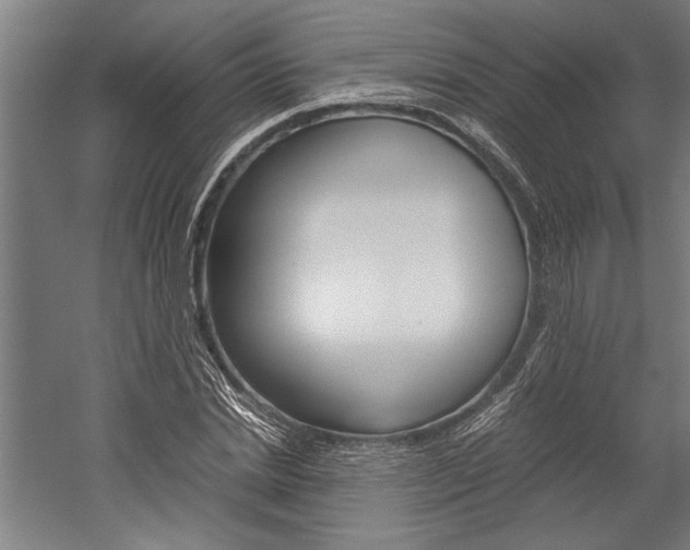 X0000060260830200510281006