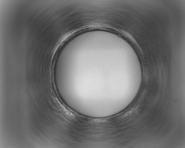 X0000060260831200510281006