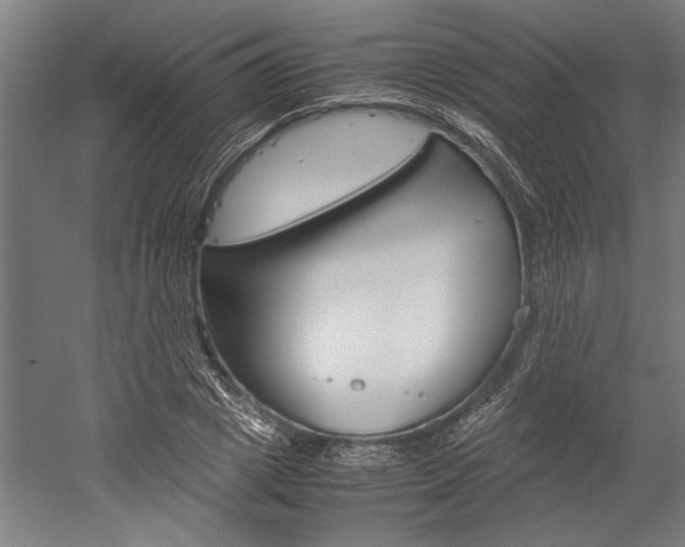 X0000060260833200510281006
