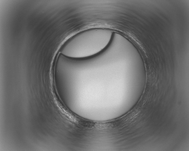 X0000060260840200510281007