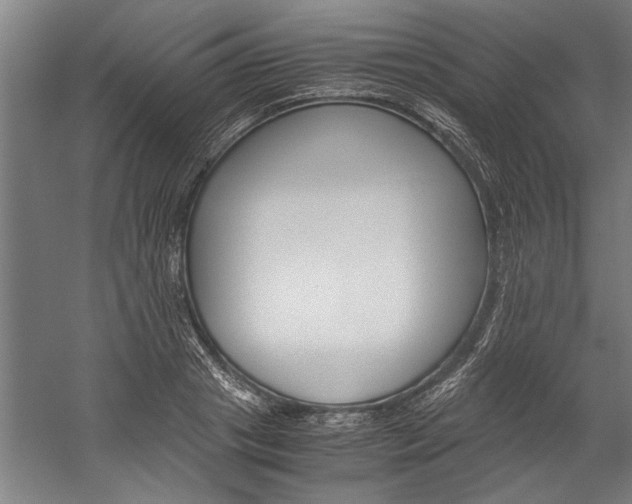 X0000060260841200510281007