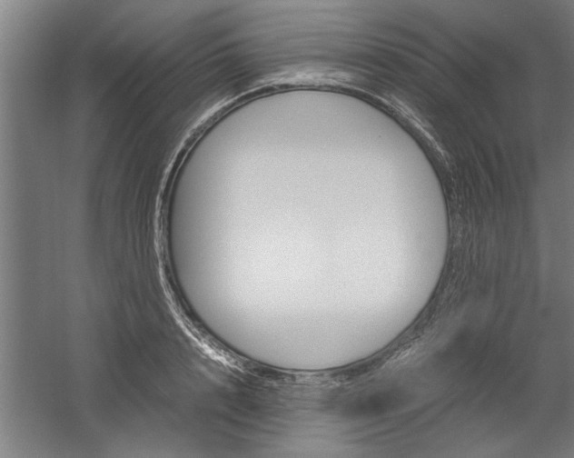 X0000060260848200510281007