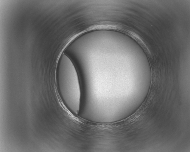 X0000060260852200510281007