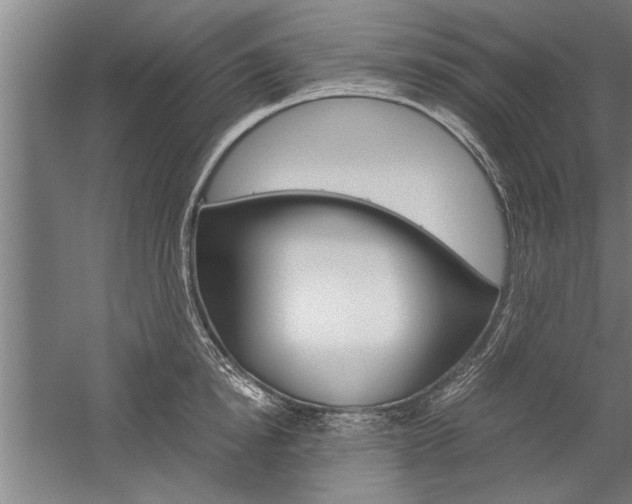 X0000060260854200510281007