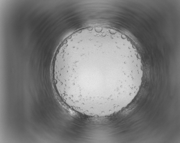 X0000060260856200510281007