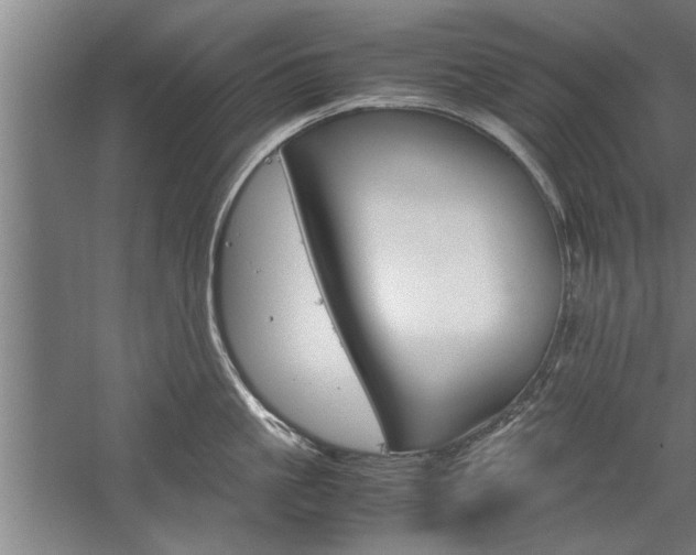 X0000060260861200510281007