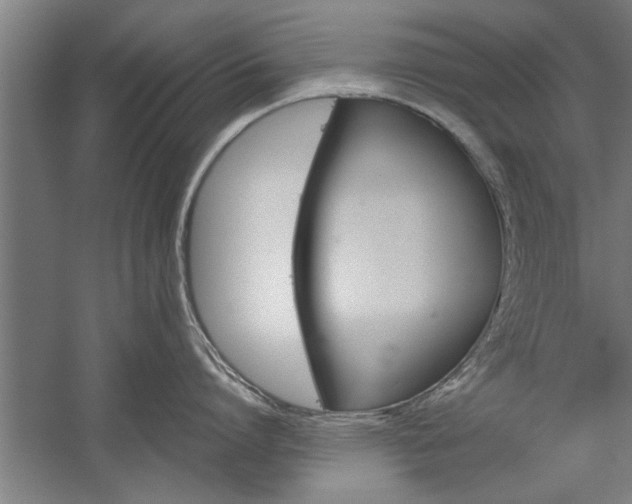 X0000060260864200510281007