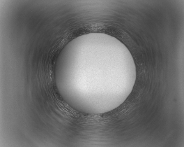 X0000060260866200510281006
