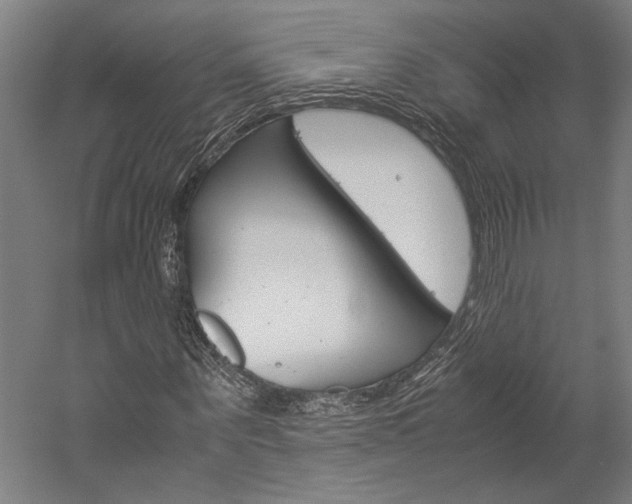 X0000060260867200510281006