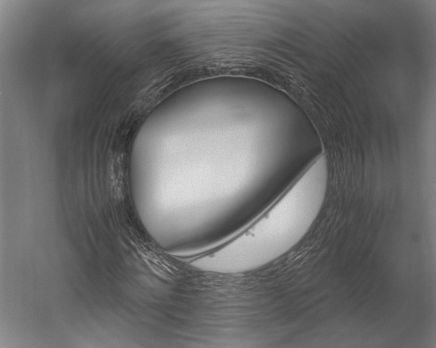 X0000060260868200510281006