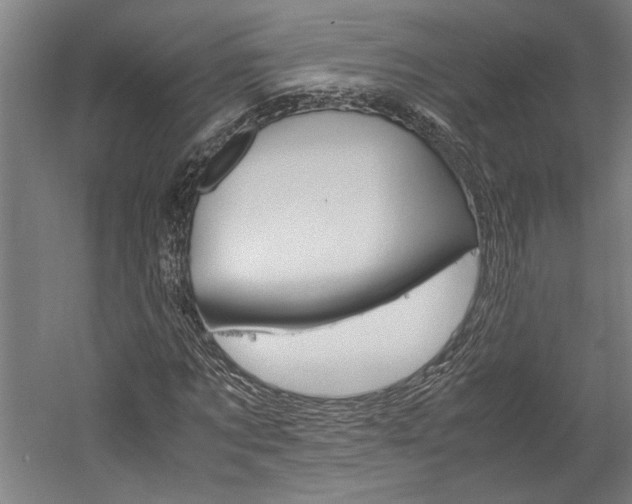 X0000060260869200510281006