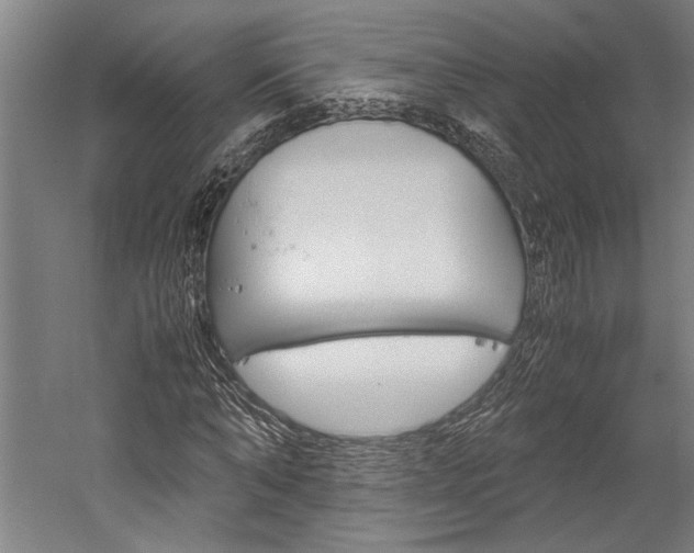 X0000060260870200510281006