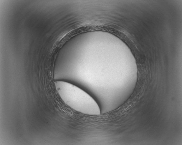 X0000060260871200510281006