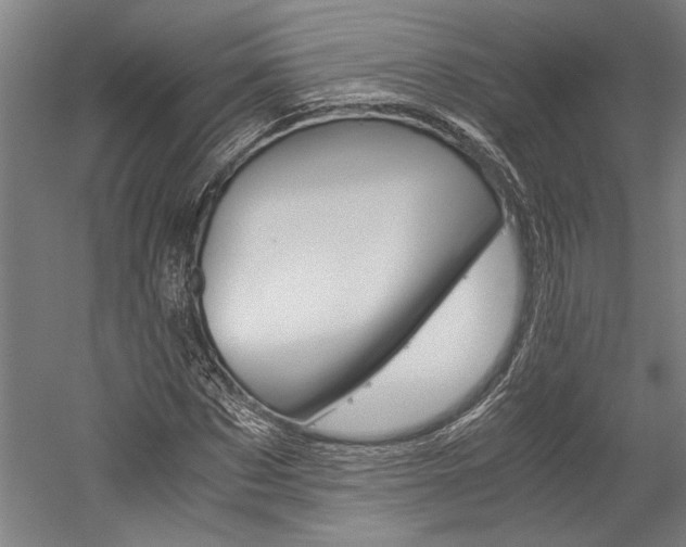 X0000060260873200510281006