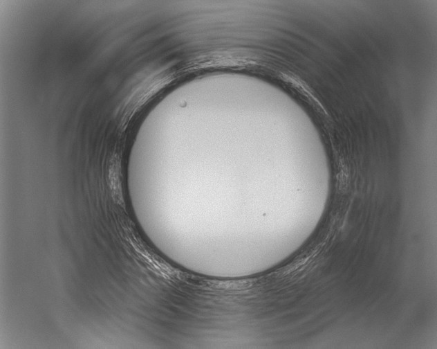 X0000060260874200510281006