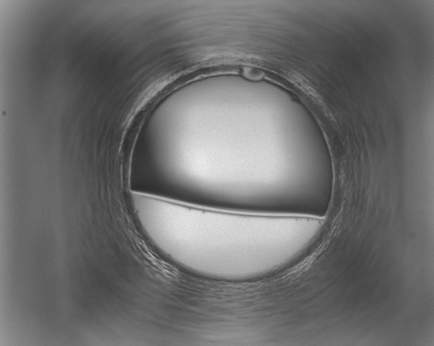 X0000060260877200510281006