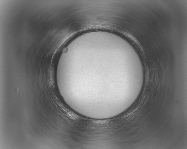 X0000060260878200510281006