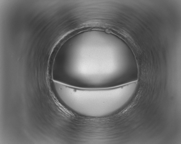 X0000060260880200510281006