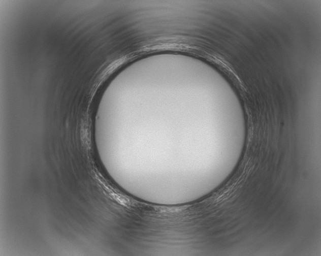 X0000060260882200510281006