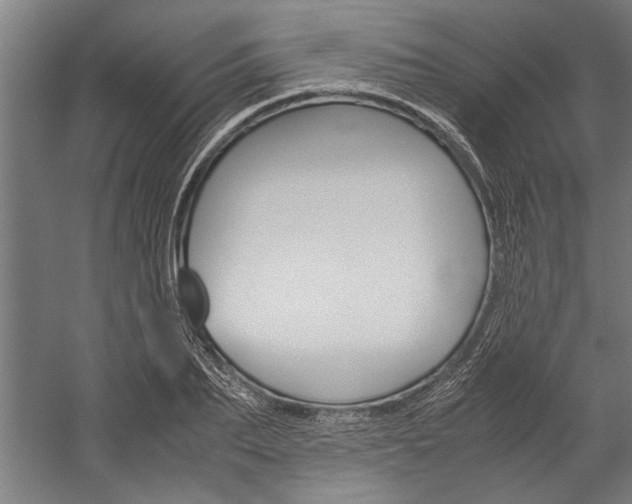 X0000060260887200510281006