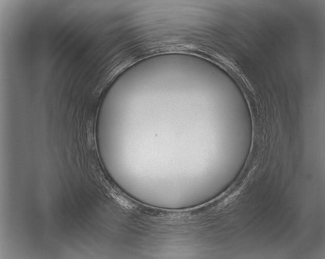 X0000060260889200510281006