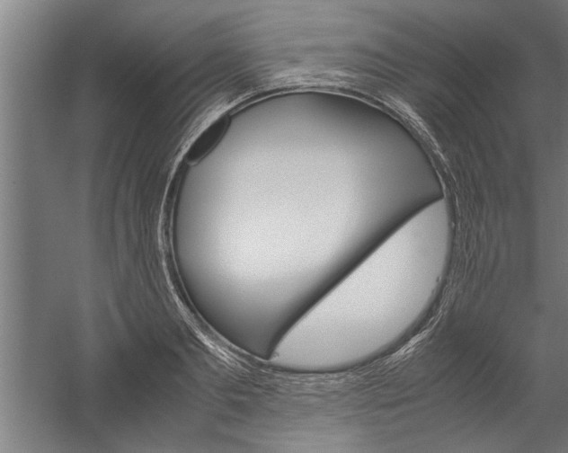 X0000060260893200510281006