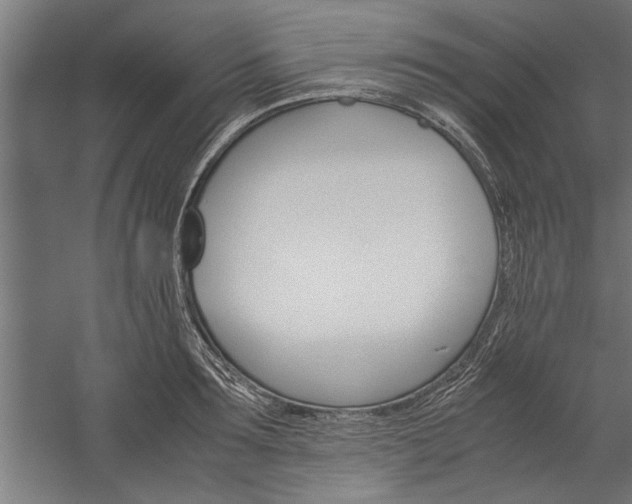 X0000060260899200510281006