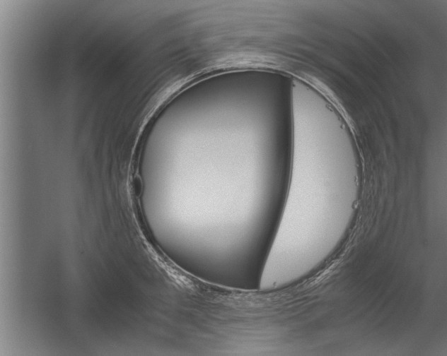X0000060260901200510281006