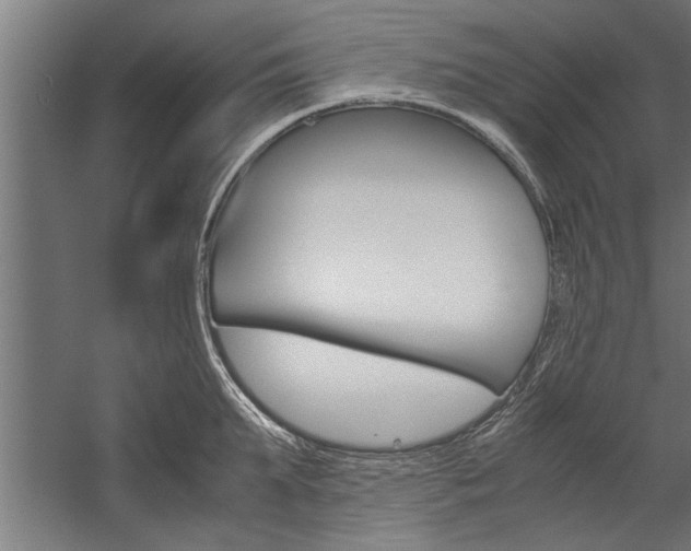 X0000060260903200510281006