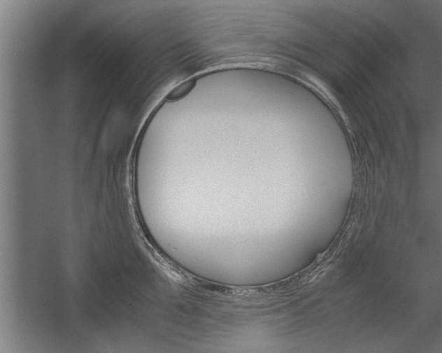 X0000060260907200510281005