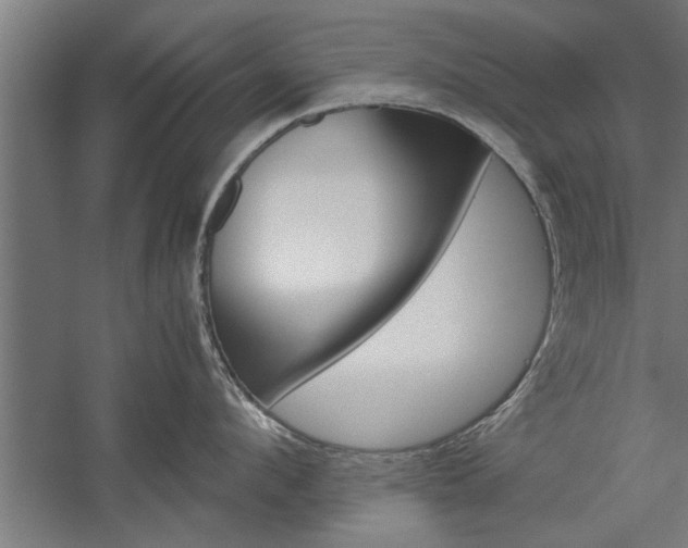 X0000060260912200510281005
