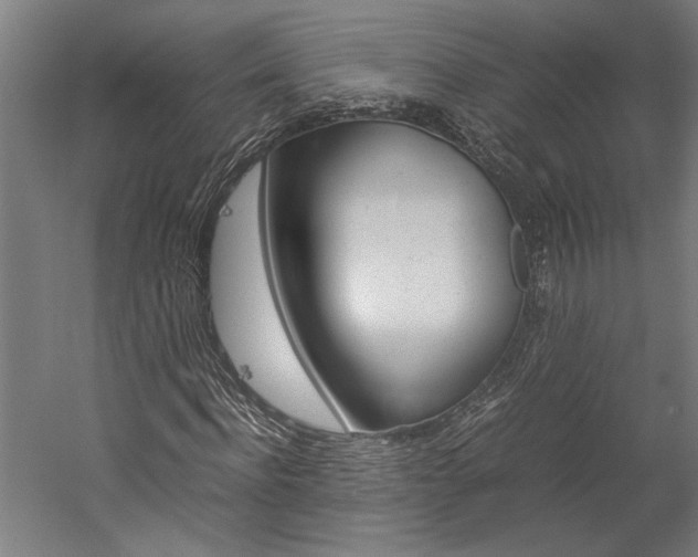X0000060260916200510281005