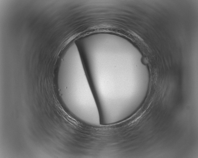 X0000060260921200510281005