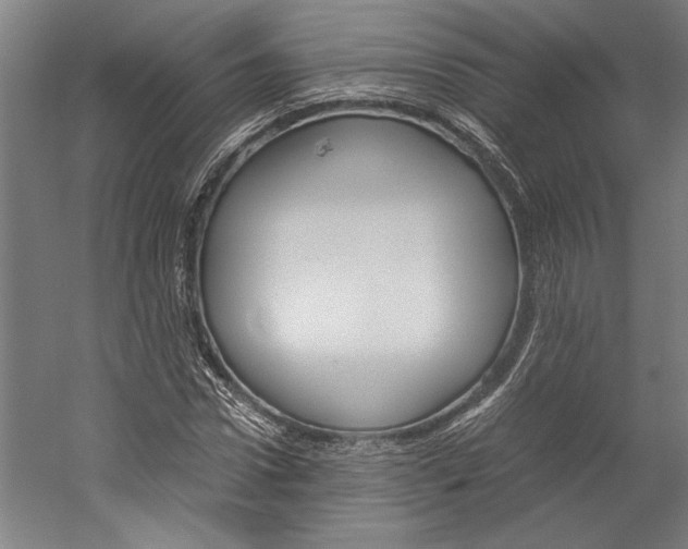 X0000060260922200510281005